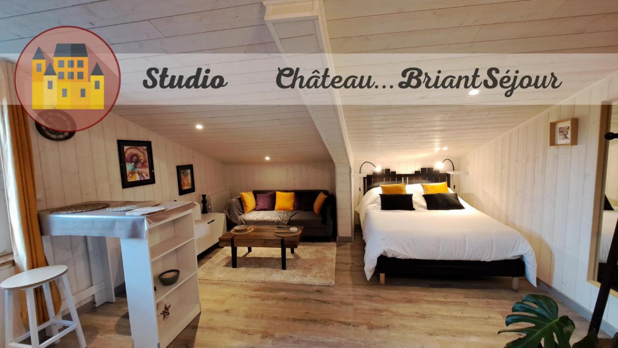 Studio-Centre Ville ชาโตว์บรีอองต์ ภายนอก รูปภาพ