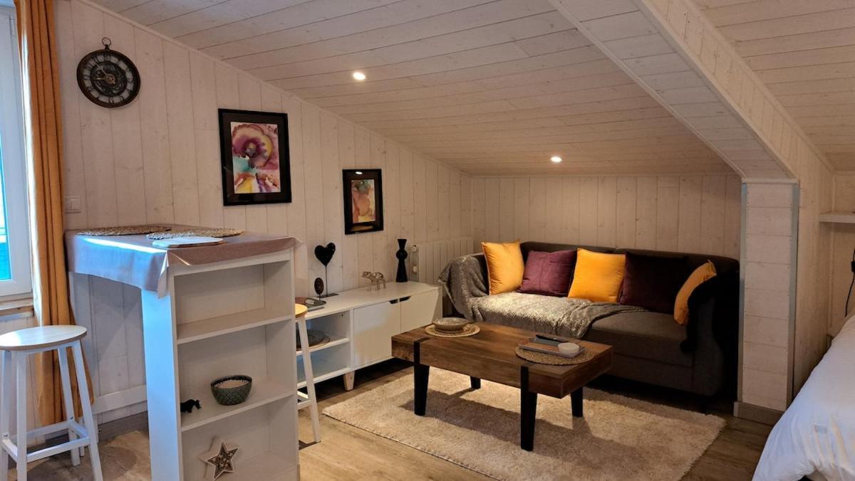 Studio-Centre Ville ชาโตว์บรีอองต์ ห้อง รูปภาพ